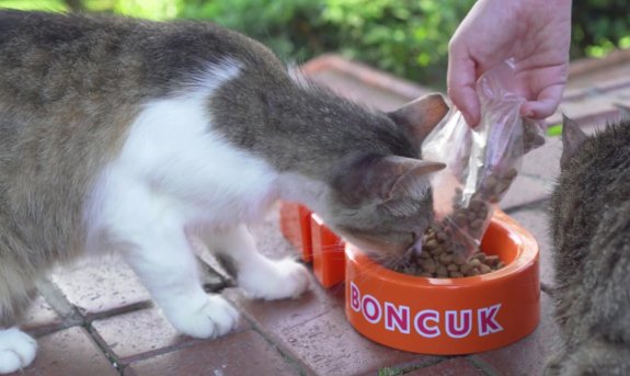 Değer Katan İyilik